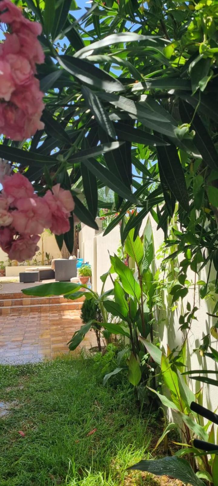 Beautiful Family Villa With Private Swimming Pool Martil Extérieur photo